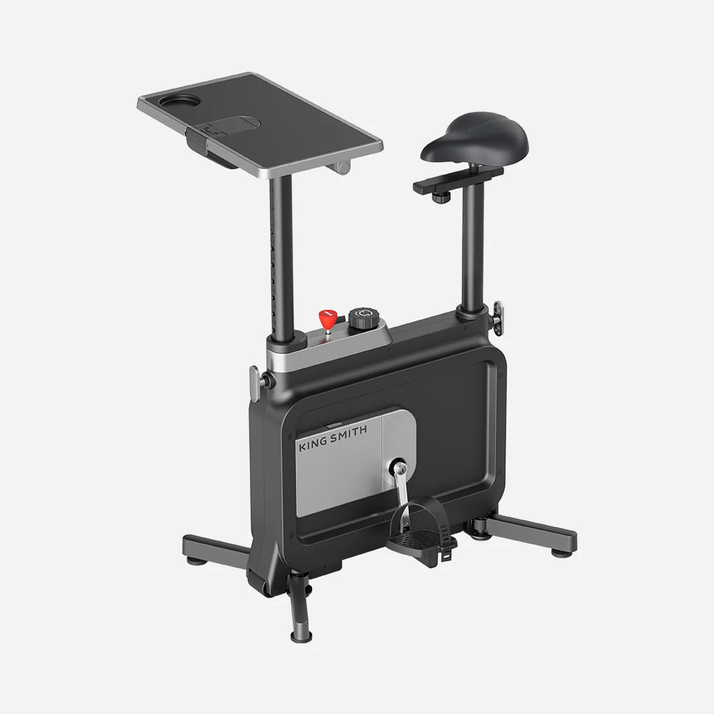 Kingsmith W1B Foldable Exercise Bike