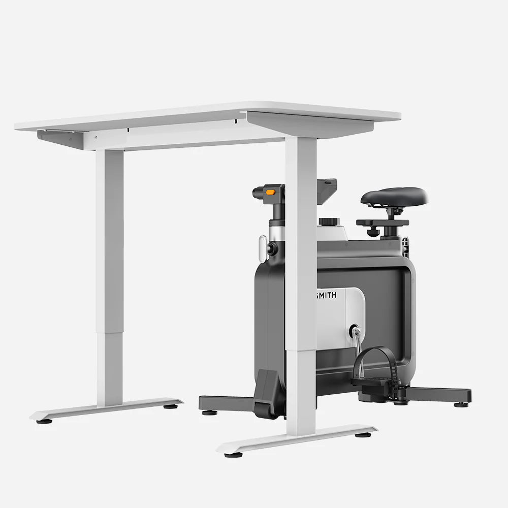 Kingsmith W1B Foldable Exercise Bike