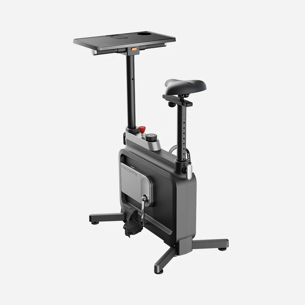 Kingsmith W1B Foldable Exercise Bike