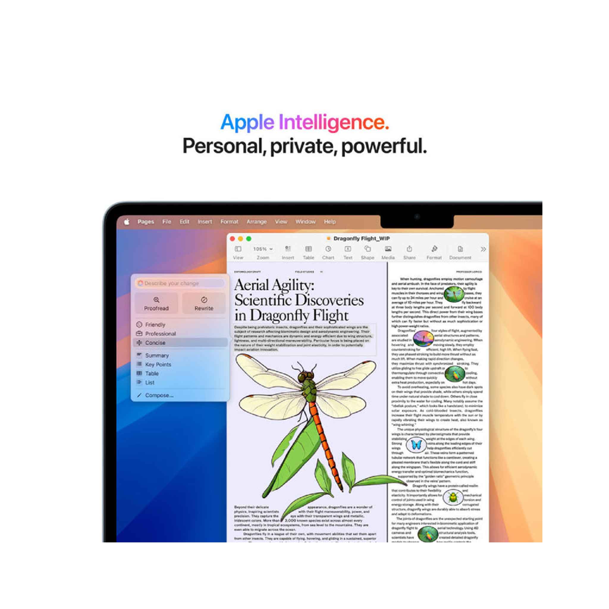 Apple MacBook Air M4 Chip - 13 Inch - 10-Core CPU and 8-Core GPU - 16GB - 256GB SSD - Midnight