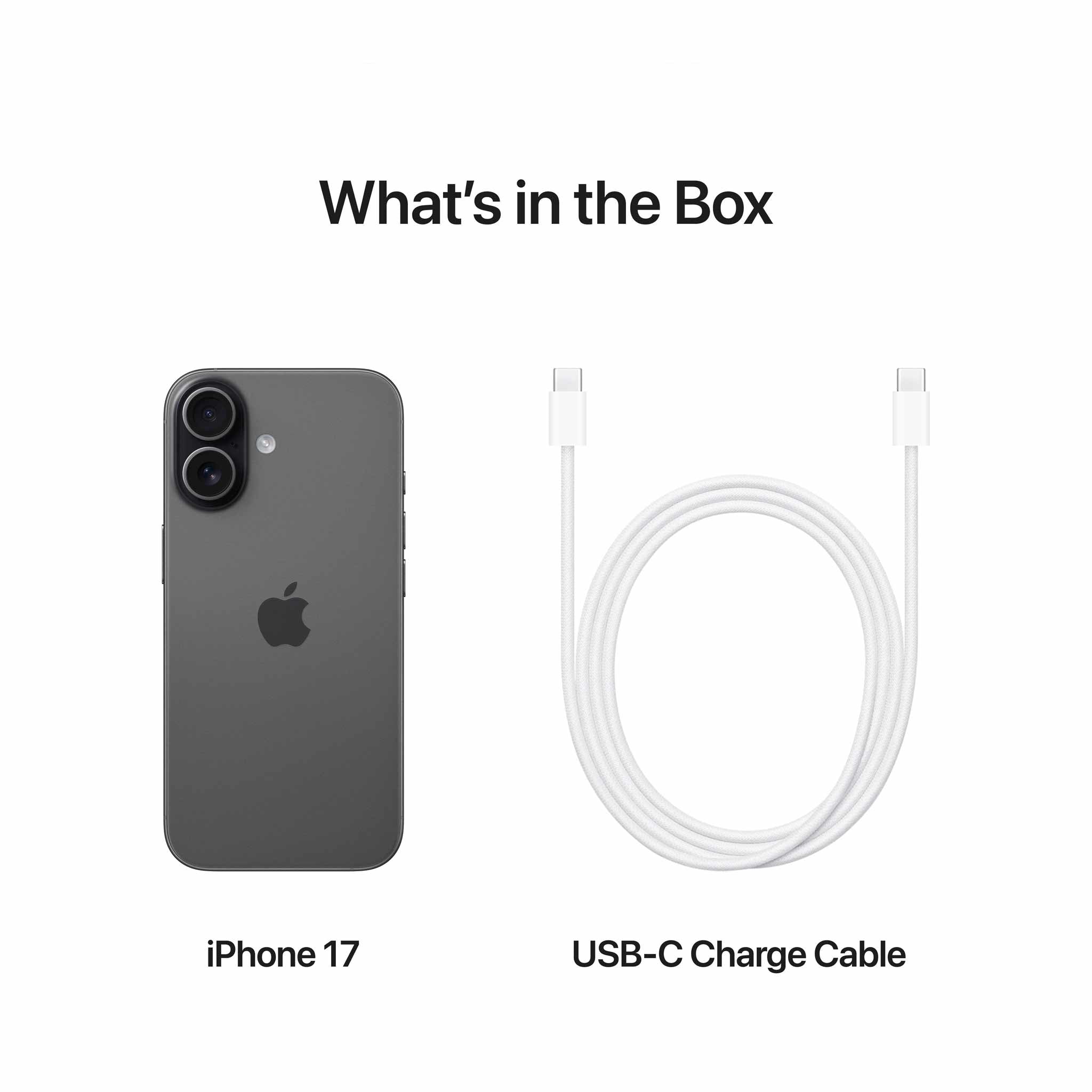 Apple iPhone 17 256GB Black - Middle East